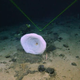 Imagen para el artículo titulado Resuelven el misterio del “blip” de sónar identificado cerca del Titanic